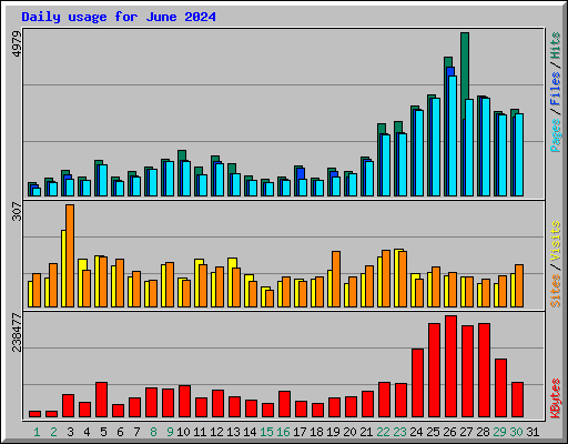 Daily usage for June 2024