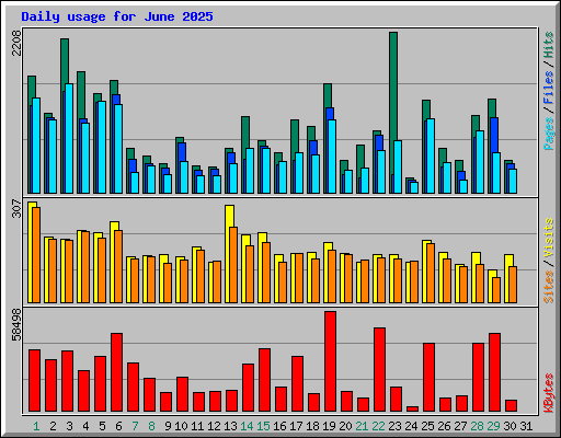 Daily usage for June 2025