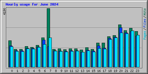 Hourly usage for June 2024