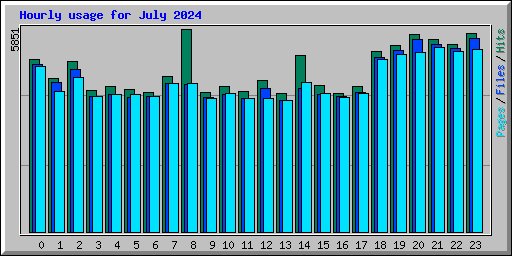 Hourly usage for July 2024