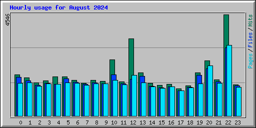 Hourly usage for August 2024