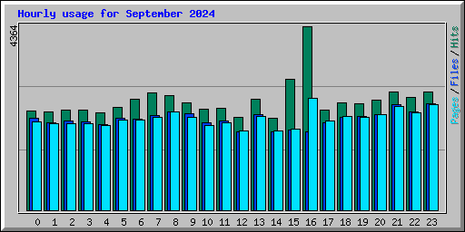 Hourly usage for September 2024