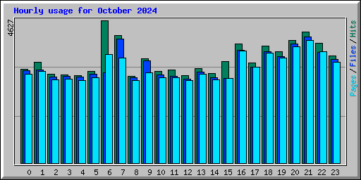 Hourly usage for October 2024