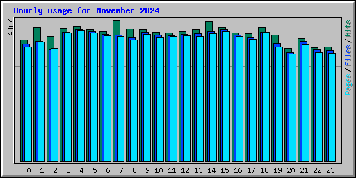 Hourly usage for November 2024