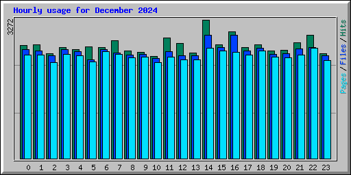 Hourly usage for December 2024