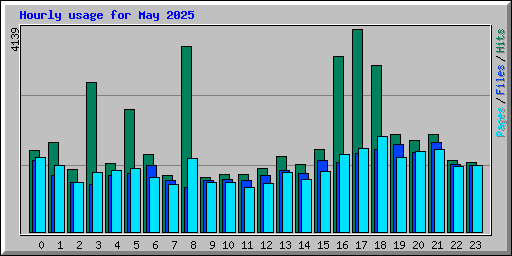 Hourly usage for May 2025