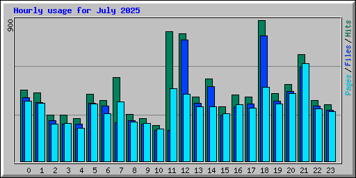 Hourly usage for July 2025