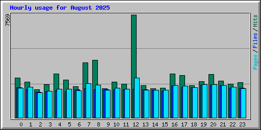 Hourly usage for August 2025