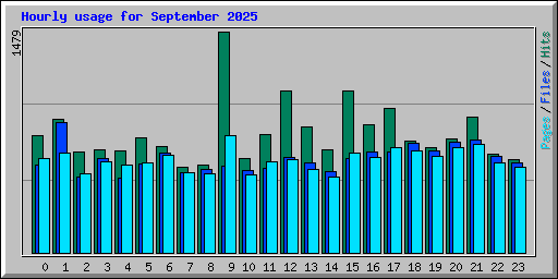 Hourly usage for September 2025