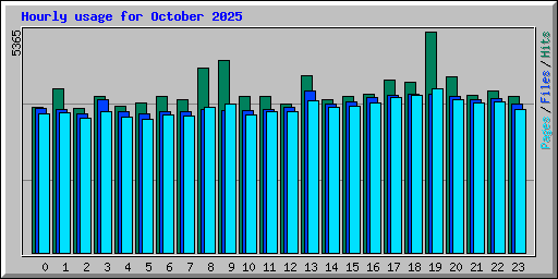 Hourly usage for October 2025