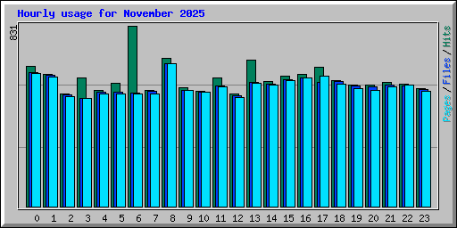 Hourly usage for November 2025