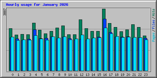 Hourly usage for January 2026