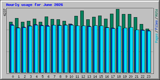 Hourly usage for June 2026