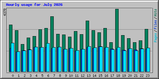 Hourly usage for July 2026