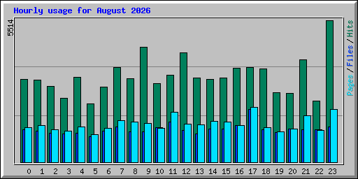 Hourly usage for August 2026